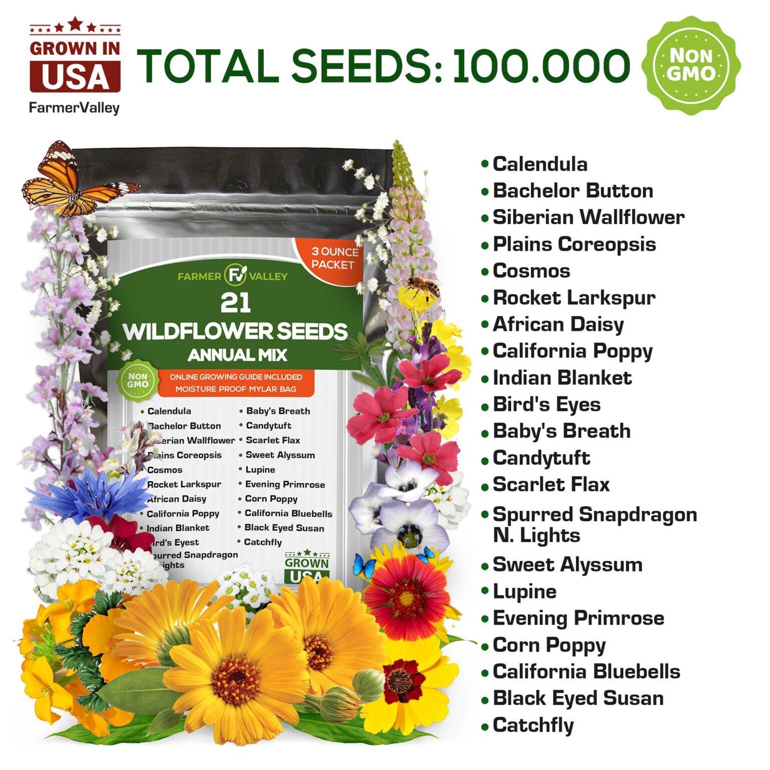 Annual Wildflower Seeds 3oz (21 Varieties) FarmerValley