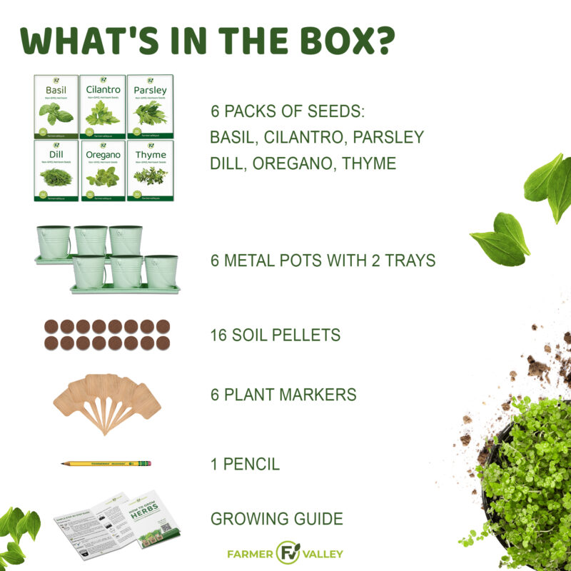 Medicinal Herbs Starter Kit With Seeds (6 Varieties) FarmerValley